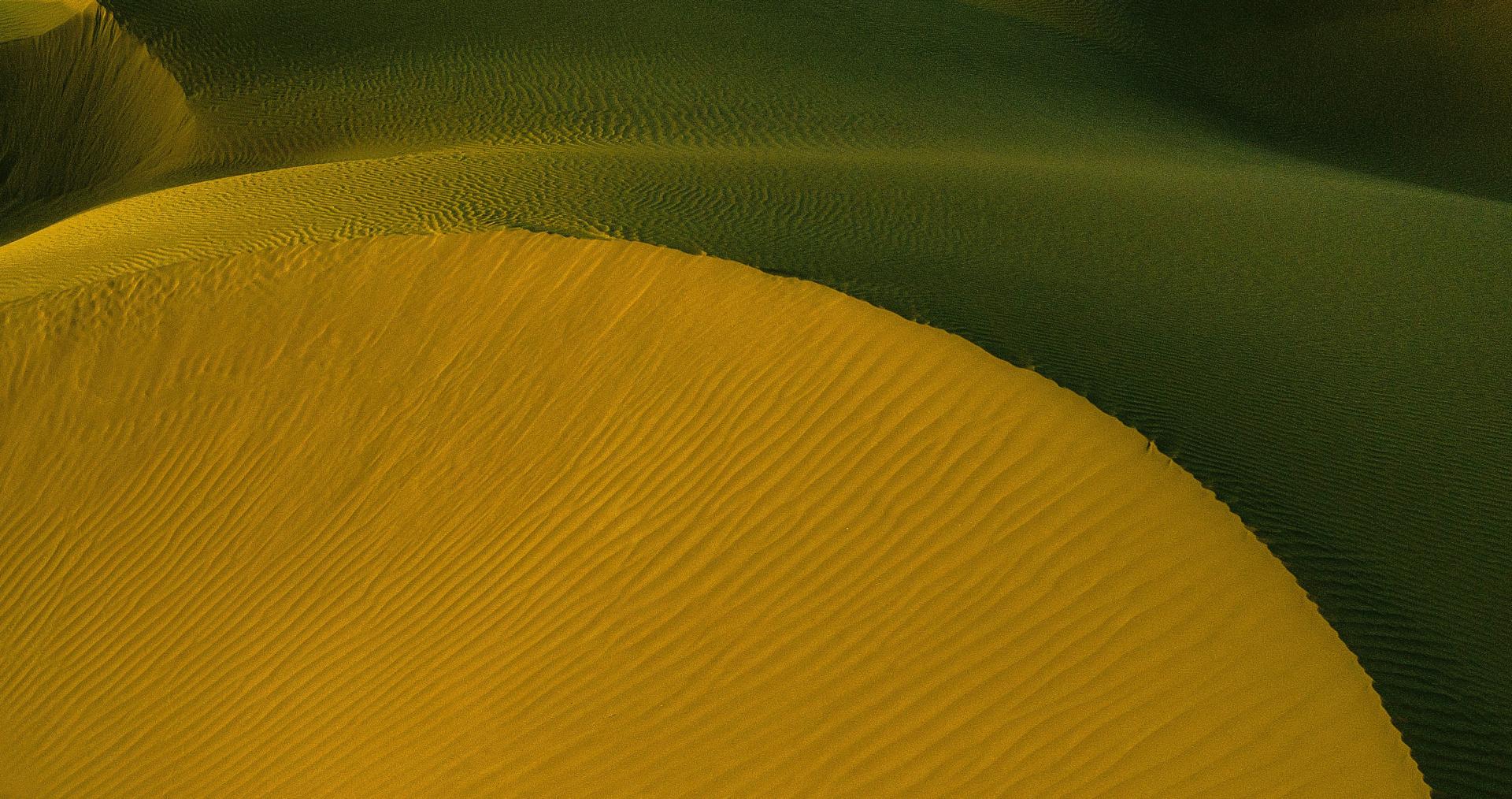 Navigating the Nitrocellulose Landscape