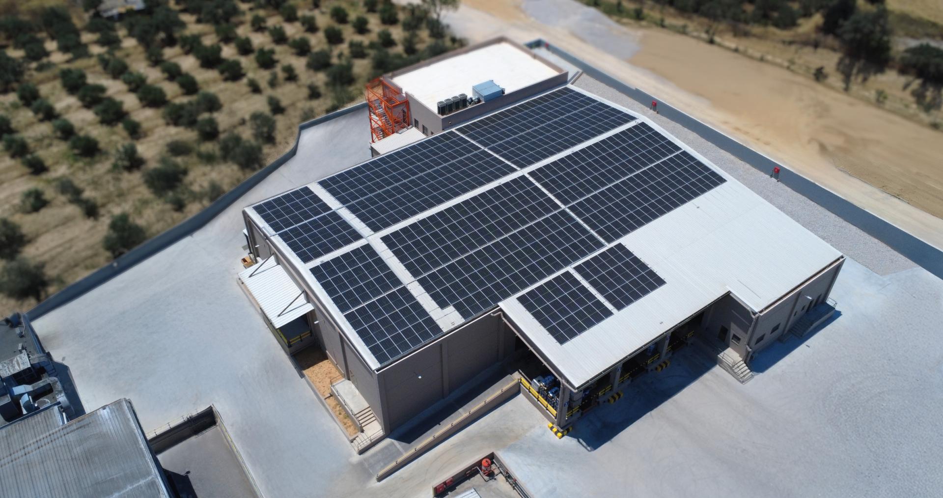 DF INKS Inaugurates New Production Facility in Halkis 