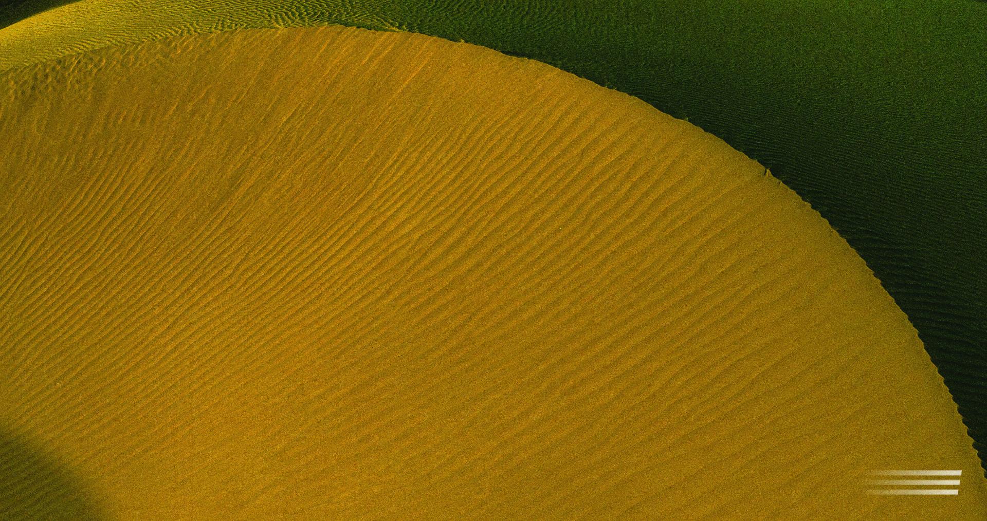 Disruption in the Nitrocellulose Supply Chain: DRUCKFARBEN Group Responds with Innovation