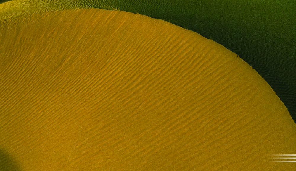 Disruption in the Nitrocellulose Supply Chain: DRUCKFARBEN Group Responds with Innovation