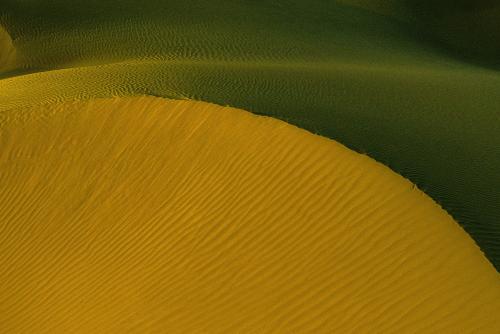 Navigating the Nitrocellulose Landscape